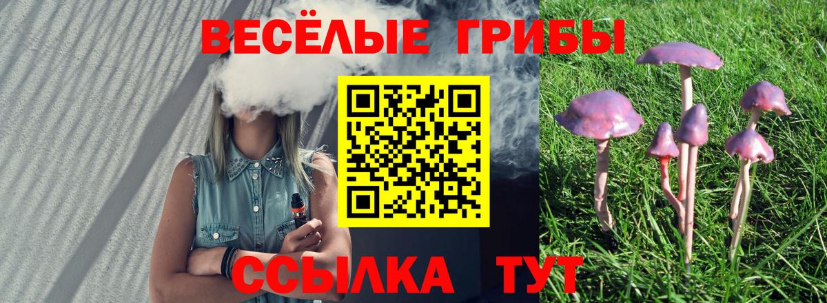 Псилоцибиновые грибы ЛСД Черногорск